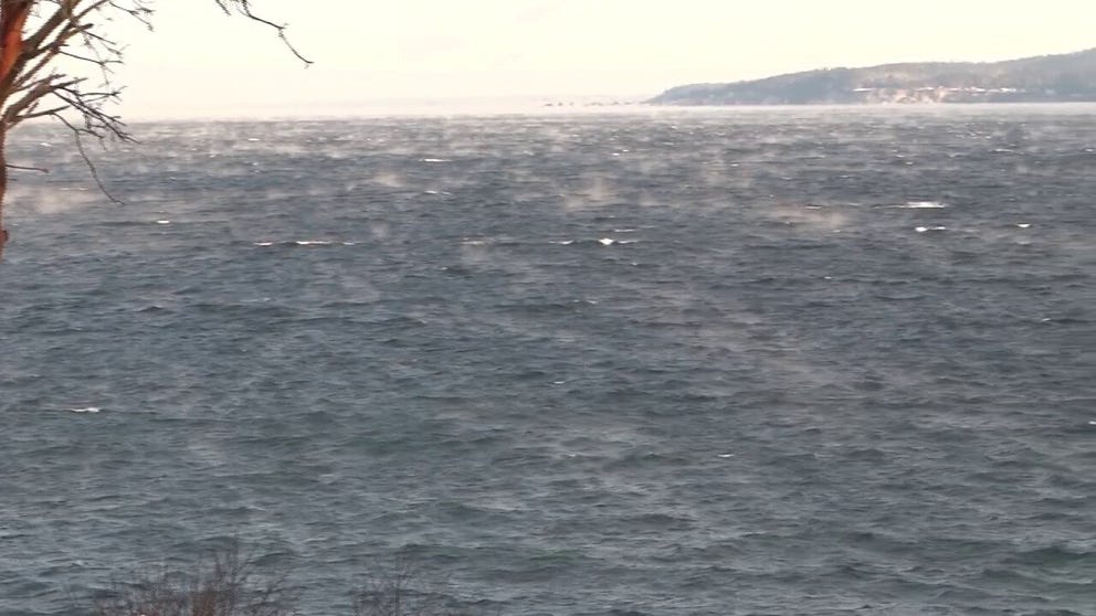 With temperatures in the teens, sea smoke was a common sight around the Puget Sound area Monday morning.