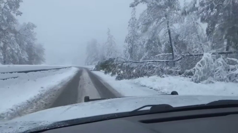 A winter storm, which has brought large amounts of snow, has caused the closure of roads throughout the mountains of Northern California.