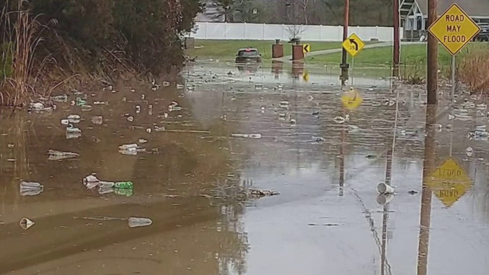 Parts of southern and central Kentucky saw upwards of a half a foot of rain on Saturday, which led to flash flooding.