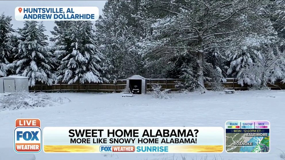 Here's something you don't see every day: snow in the South. Check out this video of a backyard in Huntsville, Alabama, blanketed in 4 to 6 inches of snow.