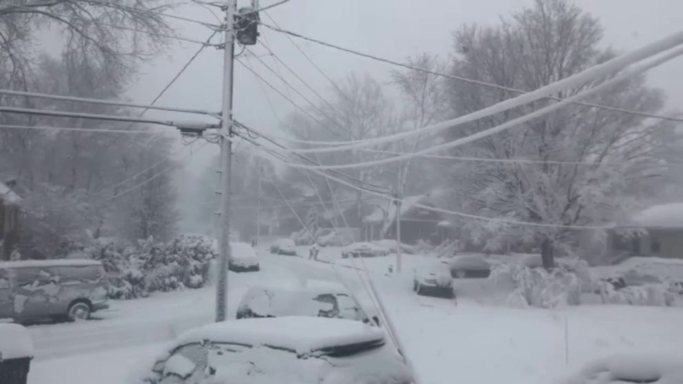 A powerful winter storm drops at least half-foot of snow in some areas close to Washington, D.C. Monday. Video shows snow blanketing Manassas, Virginia.