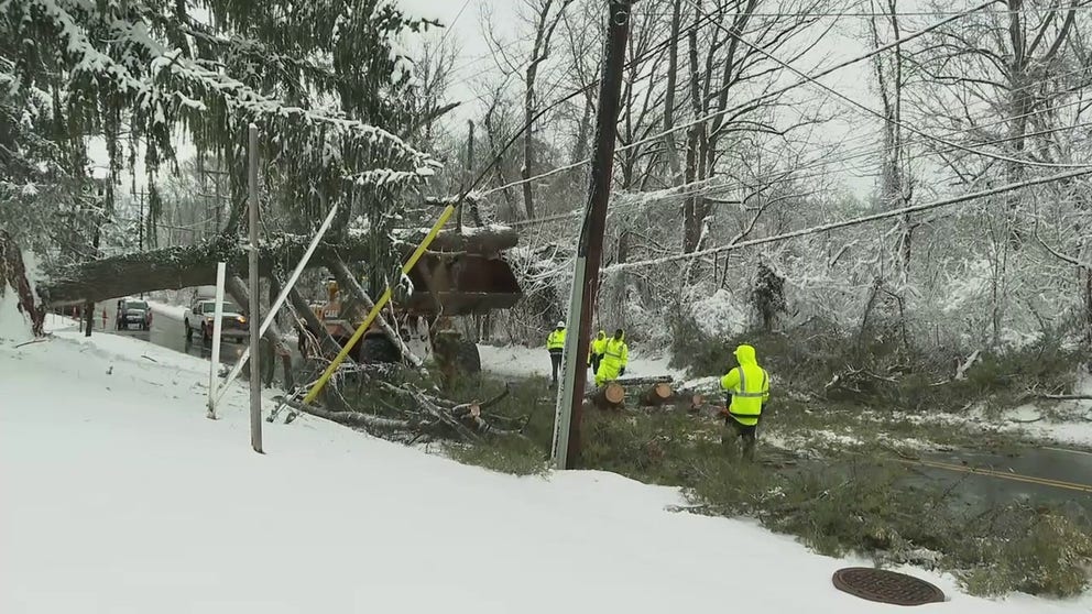 Road crews cleared trees knocked down by heavy snows from a Bethesda neighborhood Monday.