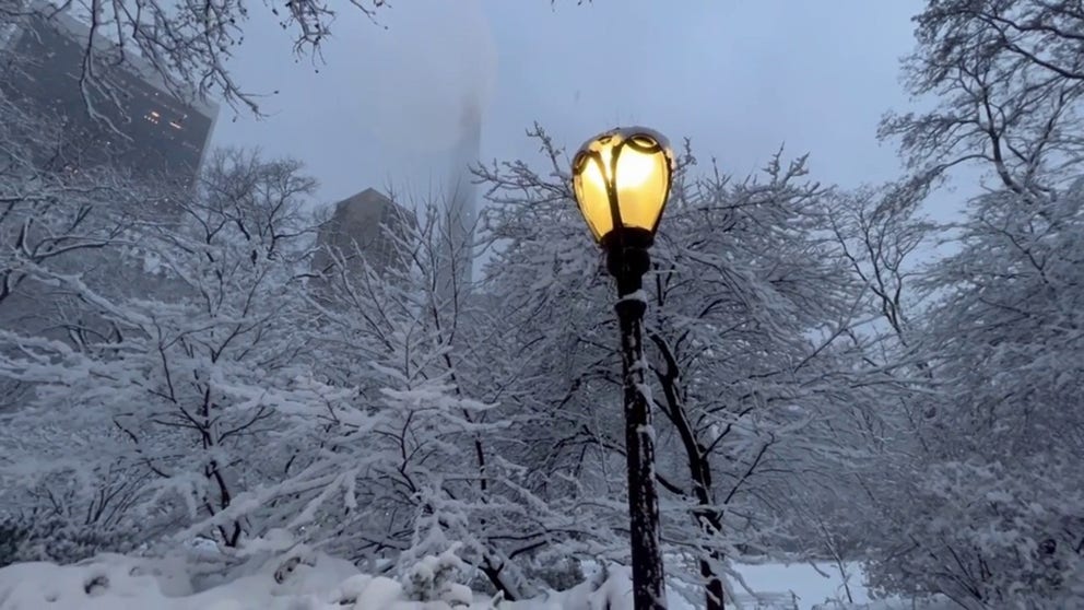 FOX Weather Multimedia Journalist Robert Ray is in Central Park where heavy snow has been falling for hours.