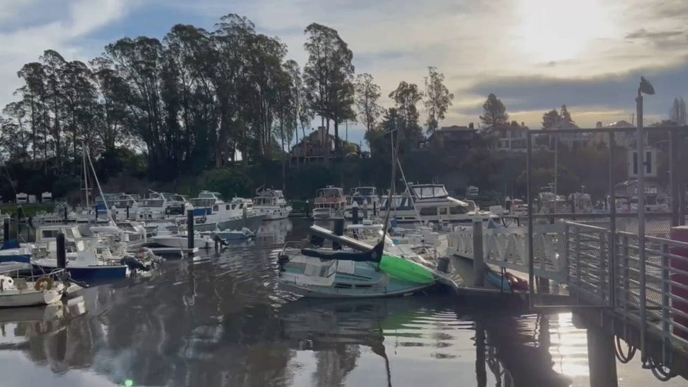 Tim Cattera posted this video on Twitter showing the first signs of tsunami damage in Santa Cruz, California, on Jan. 15, 2022.