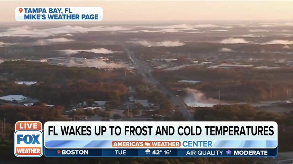 Central and south Florida woke up to frost, cold temperatures Monday ...