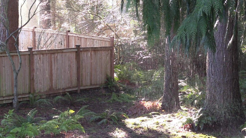 The sun was shining near Seattle last week, but in one backyard, it was pouring rain? We solve the mystery: