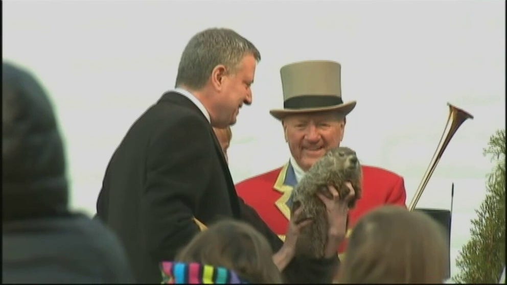 New York City Mayor Bill de Blasio dropped Staten Island Chuck on Groundhog Day 2014.
