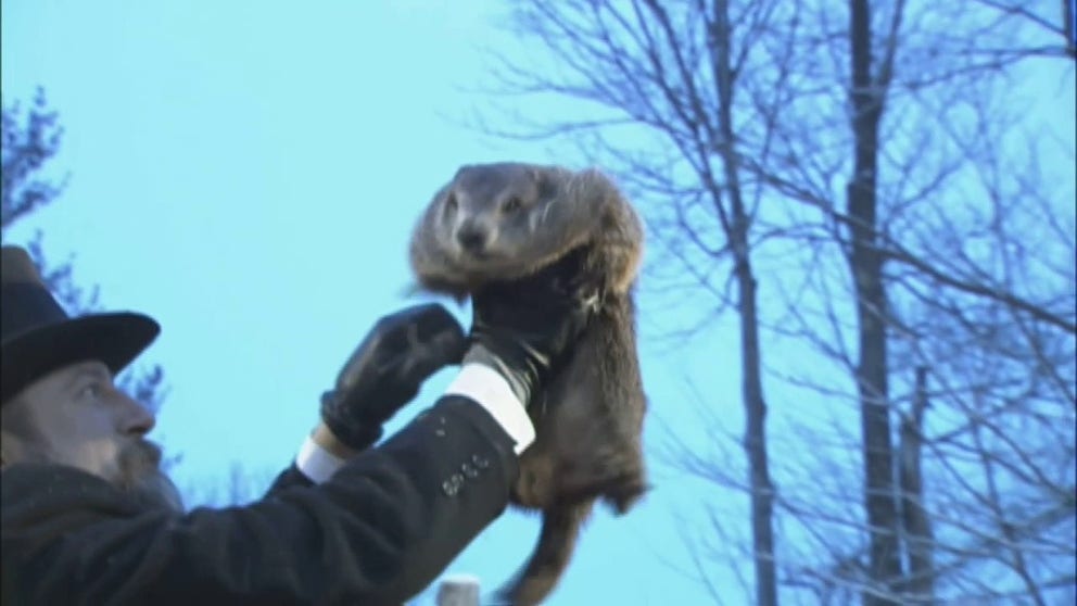 Punxsutawney Phil predicted an early Spring to thousands gathered at Gobbler's Knob in 2020.