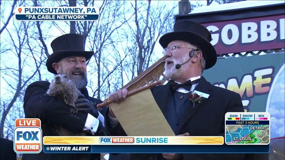 Punxsutawney Phil has predicted there will be six more weeks of winter. 