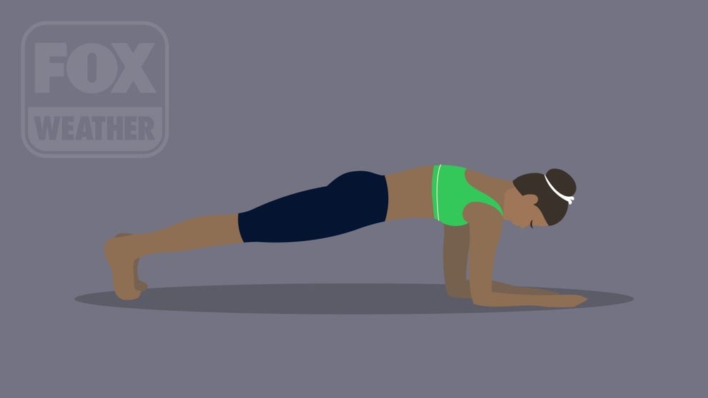 The plank strengthens the core which will protect your lower back.