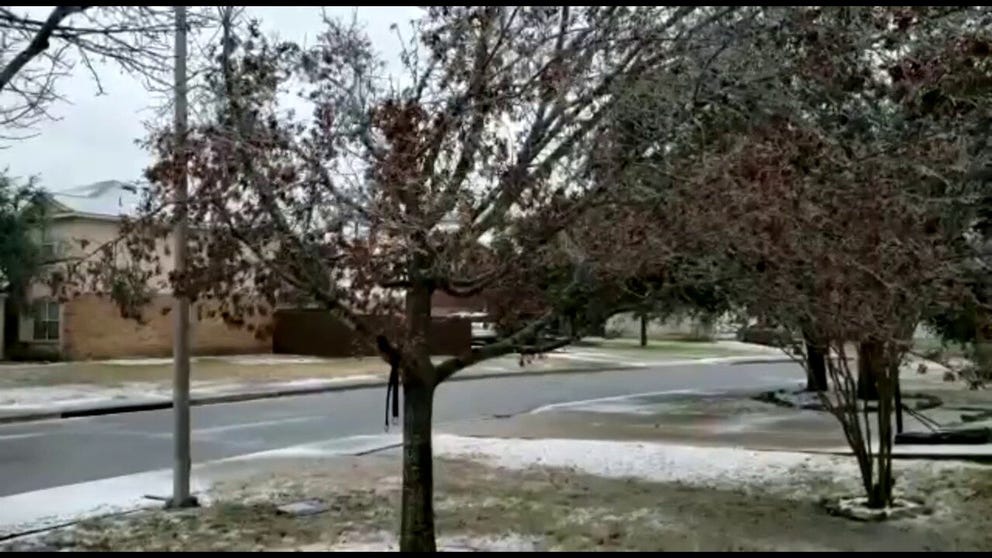 You can hear the ice in the trees as they rustle in the wind in Georgetown, Texas.
