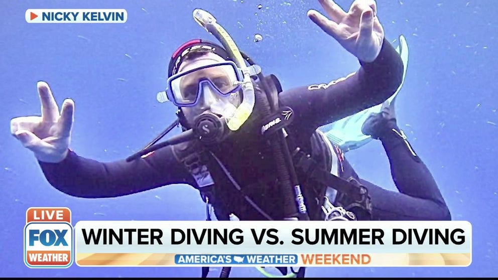 It's the dead of winter, and the last thing you're probably thinking of is donning scuba gear and diving into the water. But if that's right up your alley, Nicky Kelvin, senior director of content from "The Points Guy UK" explains why you should dive in February instead of the summer.