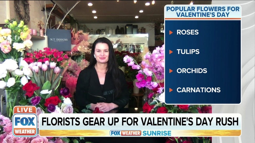 Love is in the air. With only four more days until Valentine's Day, local businesses are gearing up for one of their busiest days of the year. Flowers are a staple Valentine's Day gift. Nicole Troncone, owner and florist of N.T. Designs, explains why more flowers more expensive this year.
