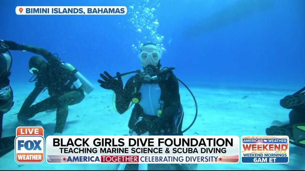 The Black Girls Dive Foundation establishes a space and opportunity to empower young women to explore their STEM identity through marine science. 