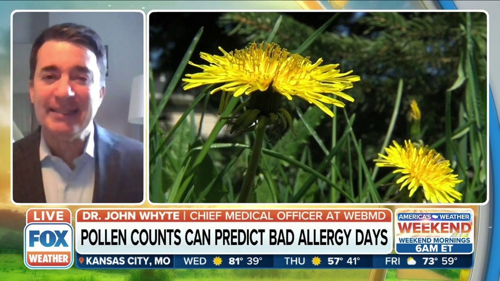 Dr. John Whyte, Chief Medical Officer at WebMD, joined FOX Weather to discuss what triggers allergies during the spring and what can help to combat it. 