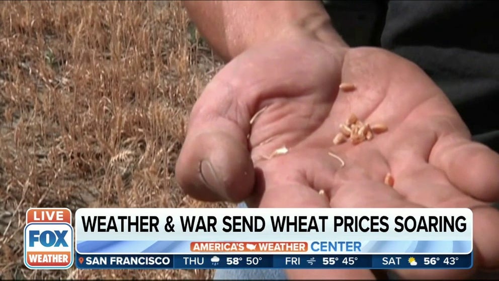 The ongoing conflict between Russia and Ukraine causes wheat prices to soar. The CEO for the National Association of Growers told FOX Weather that both countries make up together one third of the world’s wheat production. 