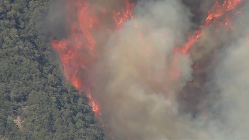 The Jim Fire blackened 553 acres in Orange County California.