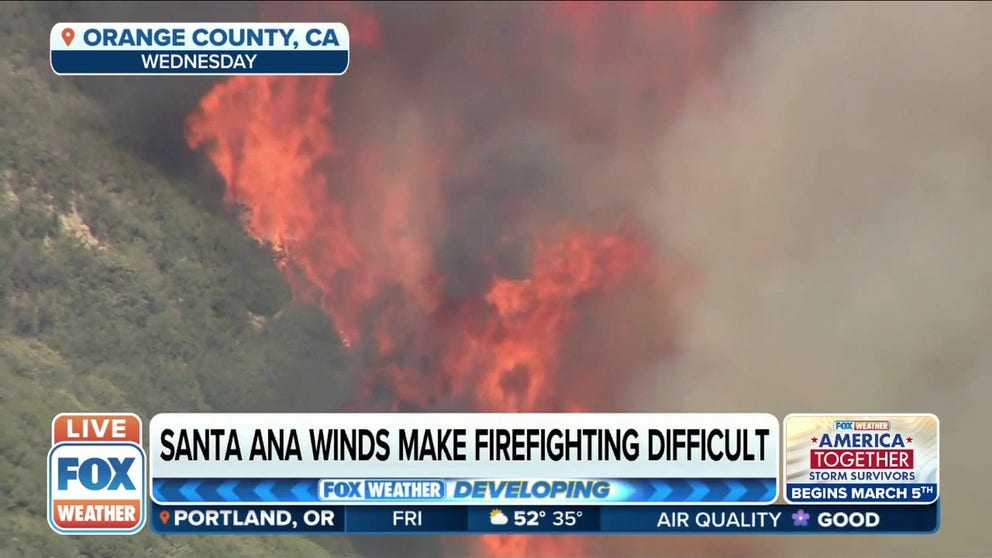 With more than 550 Acres burned in Orange County, CA, the Jim fire is currently being contained as firefighters battle the blaze. Professor Chris Dicus of the Association for Fire Ecology joins FOX Weather to discuss the conditions that led to the fire igniting.