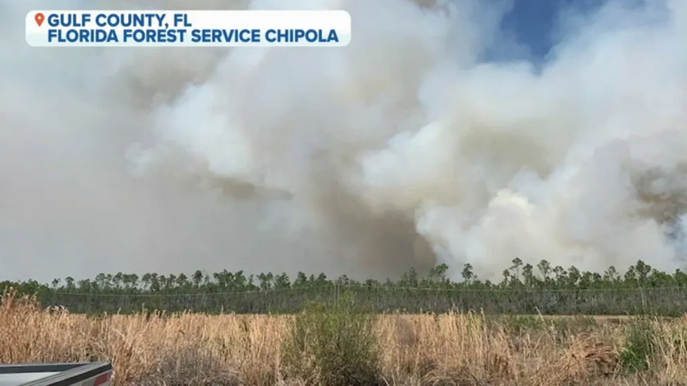 Fire crews in Gulf County, Florida battle the Big Bertha Swamp Fire. Tractor plow units and helicopter are working to manage the flames.  