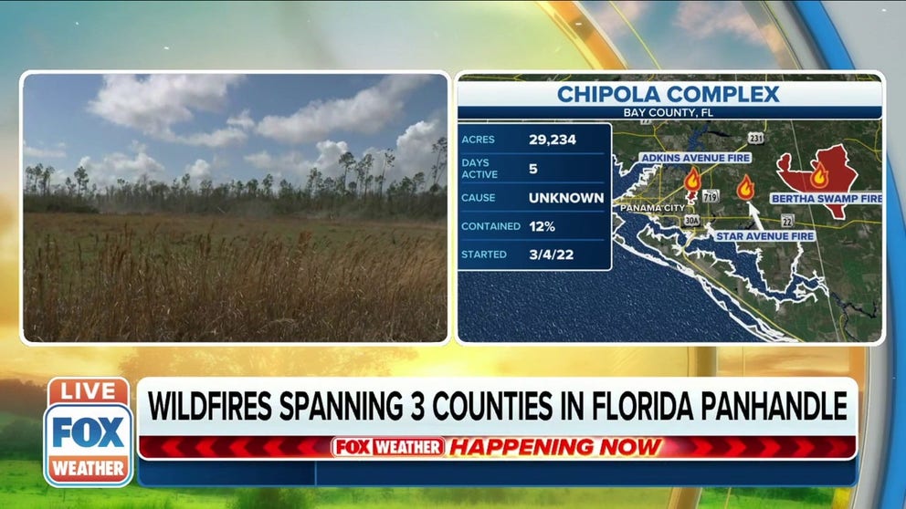The firefight of two major wildfires, the Adkins Avenue Fire and the Bertha Swamp Road Fire, are now called the Chipola Complex. 