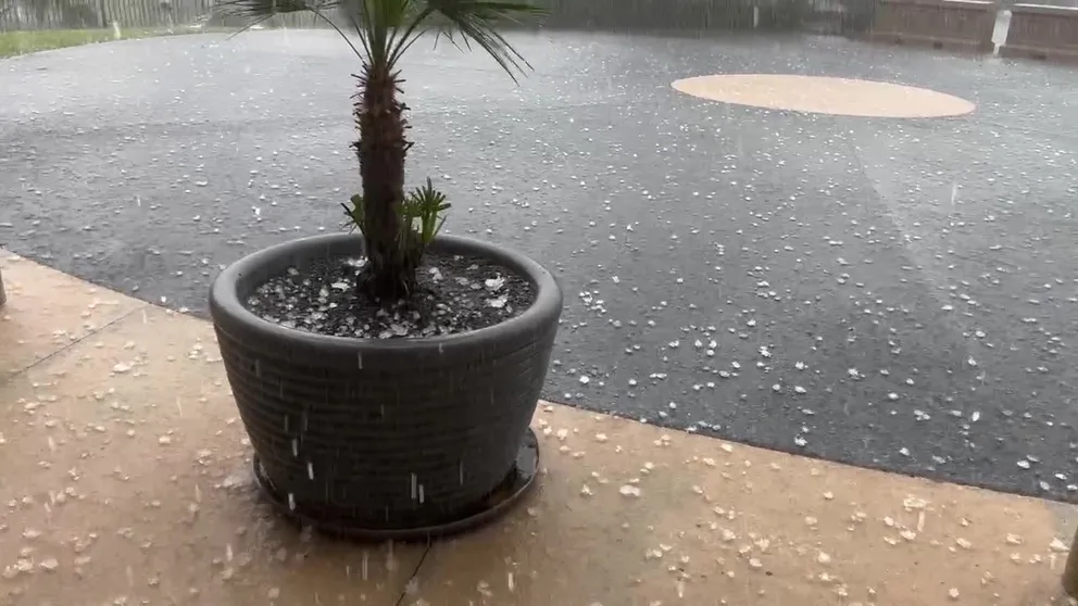 Hail estimated at about 1-inch in diameter fell at the FOX 35 TV Studios in Orlando Wednesday. (Video: Mike McClain)