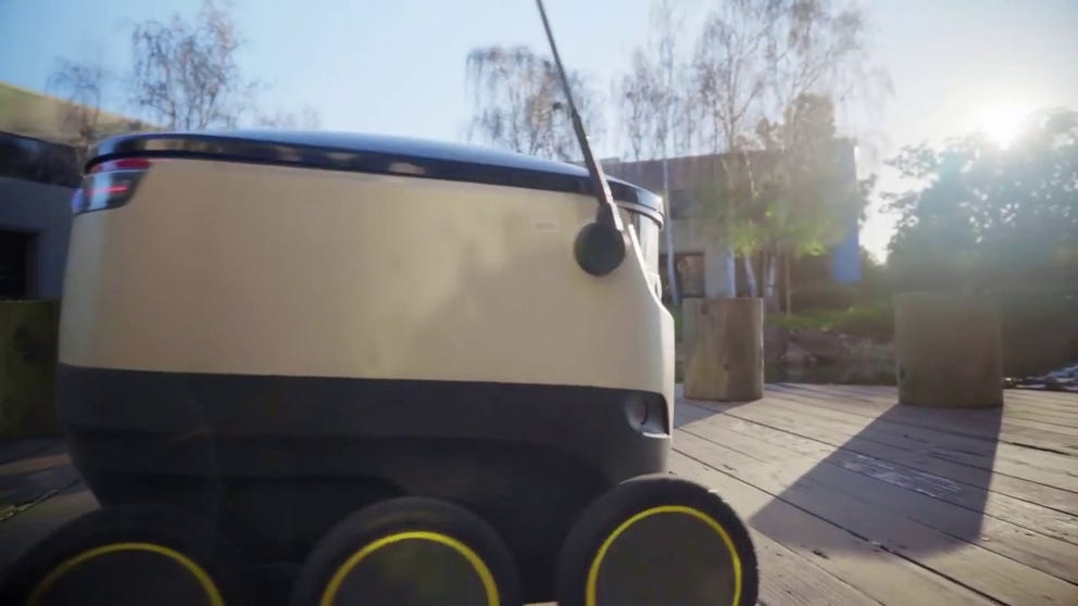 Delivery robots have to battle through weather the make it to their destination.