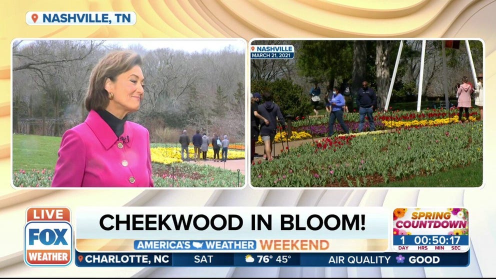 Cheekwood Estate and Gardens celebrates its 10th anniversary of Cheekwood in Bloom, a month-long festival that celebrates the changing of the season.