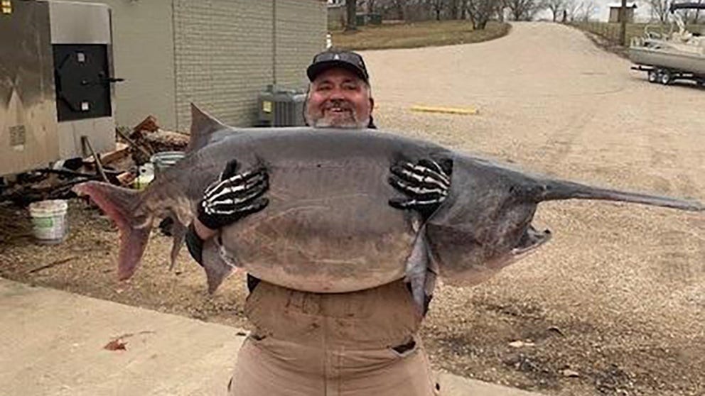 Mother Nature helps man snag 140-pound record-monster in Missouri lake