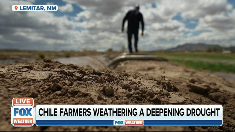 Chili peppers are an iconic New Mexico staple, but drought conditions throughout the state are threatening chili crops. FOX Weather's Max Gorden reports from New Mexico. 