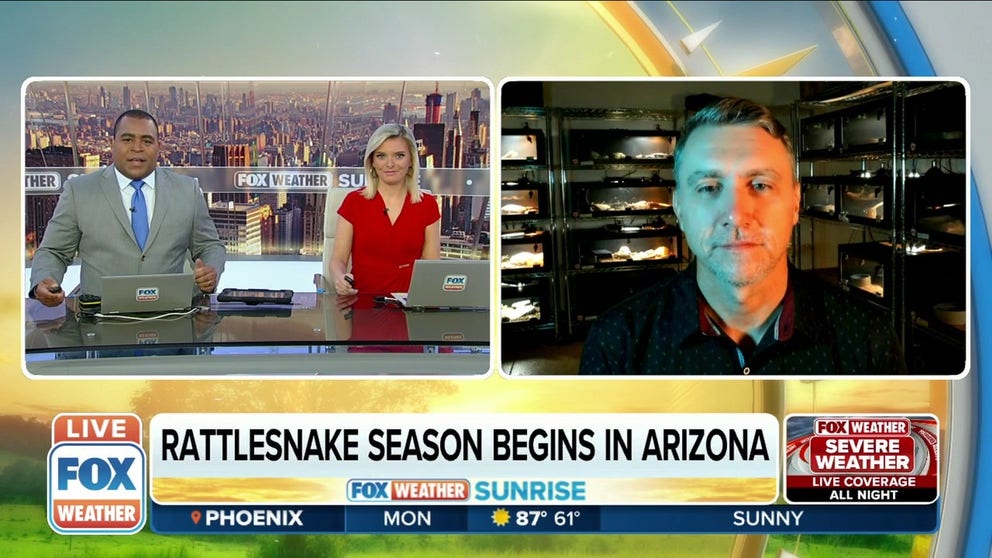File: Rattlesnake removal expert Bryan Hughes joins FOX Weather to talk about rattlesnake season and safety. 