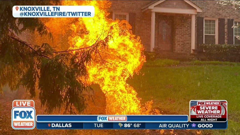 Lightning strikes gas line and sets a tree in Knoxville, Tennessee on fire. The blaze has been extinguished.   