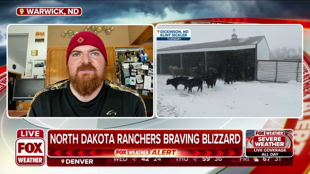 Rancher Austin Langley joined FOX Weather to discuss how the blizzard is impacting cattle ranchers in North Dakota. 