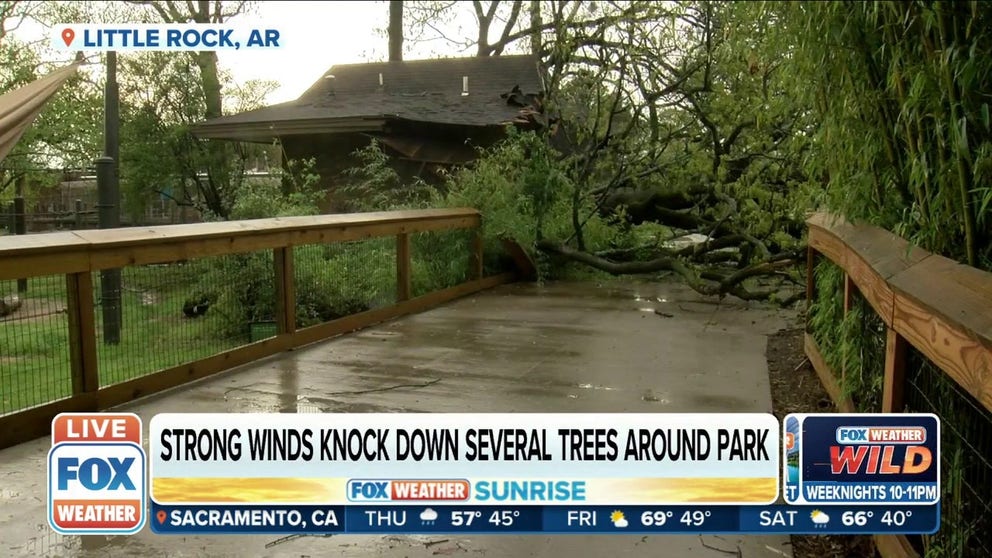 Little Rock Zoo suffers significant damage from severe storms | Latest ...