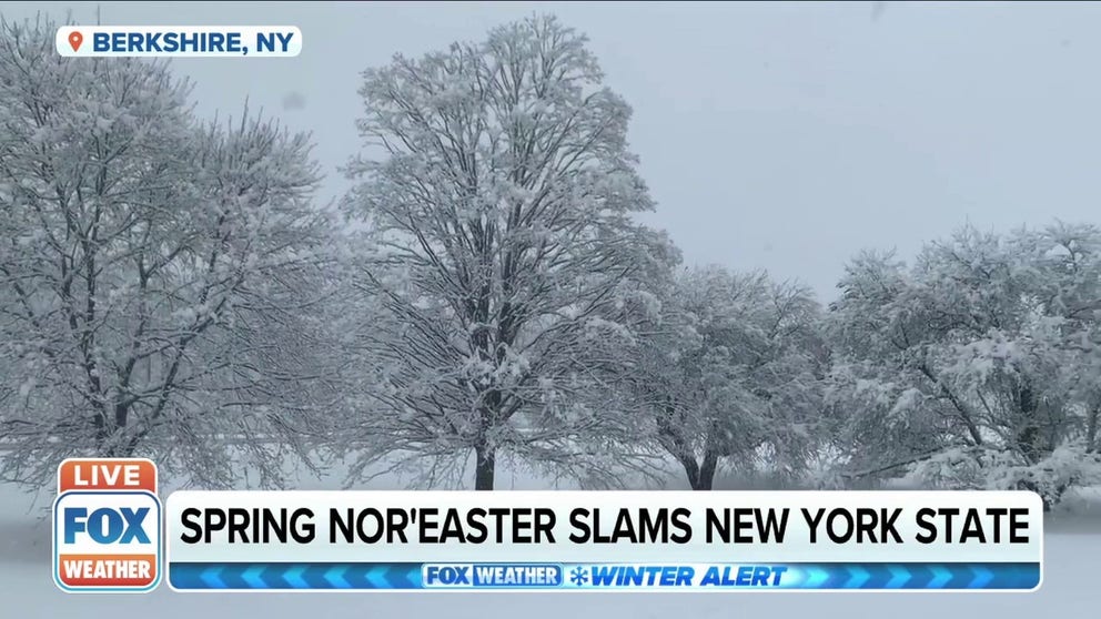 FOX Weather Digital Content Producer Brian Donegan lost power at his home in Berkshire, NY, early Tuesday morning as a nor'easter slammed the area with heavy and wet snow. 