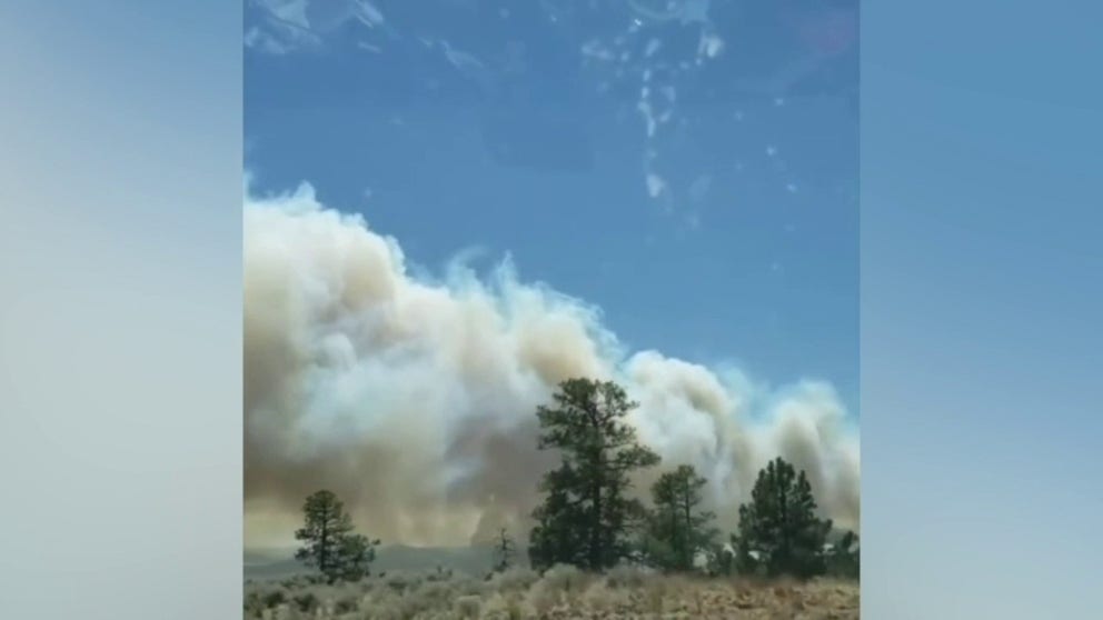 The Tunnel Fire grows to 2,000 acres near Flagstaff, Arizona. The blaze is at zero percent containment and has forced evacuations. (Video: Lisa Bussett via Storyful)