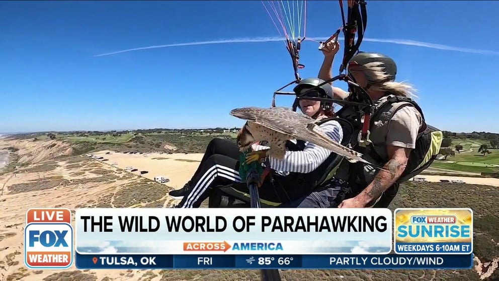 Paraglider pilot and falconer David Metzgar shows FOX Weather correspondent Max Gorden the wild world of parahawking. 
