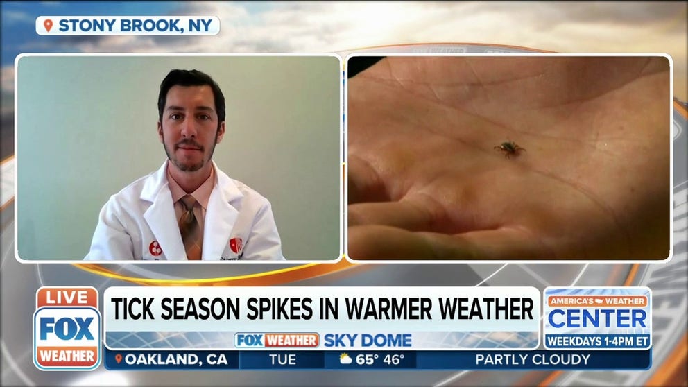Dr. Andrew Handel explains why tick season tends to spike in warmer weather. 