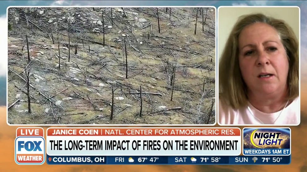 Project Scientist at the National Center for Atmospheric Research Janice Coen weighs in on the study that discovered forest loss from 2001-2019 due to wildfires. 