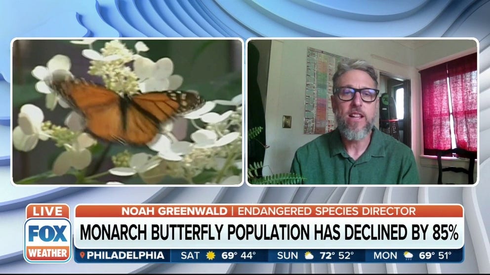 Noah Greenwald, Endangered Species Director at Center for Biological Diversity, talks about the fight to protect monarch butterflies and other species. 
