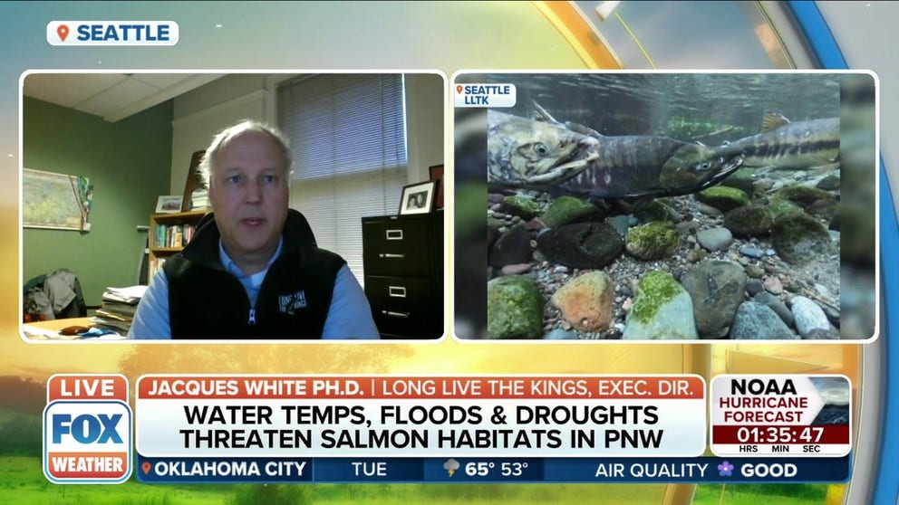 With summer fast approaching, local environmentalists are sending a warning about the impact severe heat has on salmon in the Pacific Northwest. Salmon thrive in cold water. 