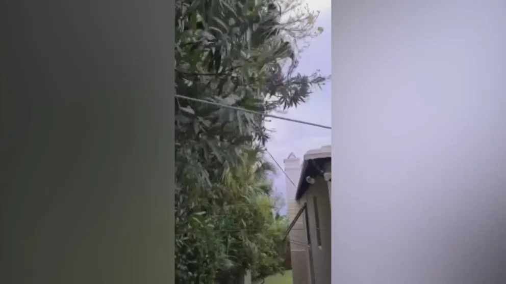 Wind gusts up to 70 miles per hour from Tropical Storm Alex hit Bermuda on June 6. 2022. (Video: Rob Kerr via Storyful)