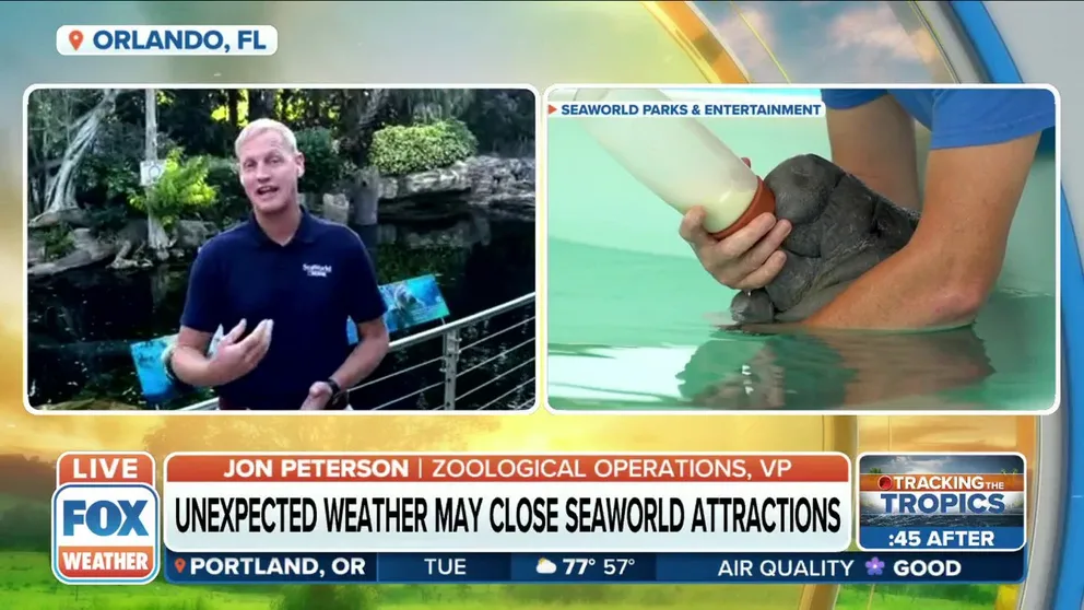 SeaWorld monitors thunderstorms and hurricanes coming into the area and cancels any shows or even closes down the park when storms are in the area to get the animals into protected areas to avoid lightning striking the water. 