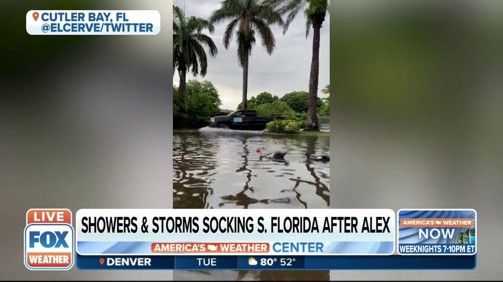 Video captures a group of ducks swimming on flooded roads in Cutler Bay, Florida.