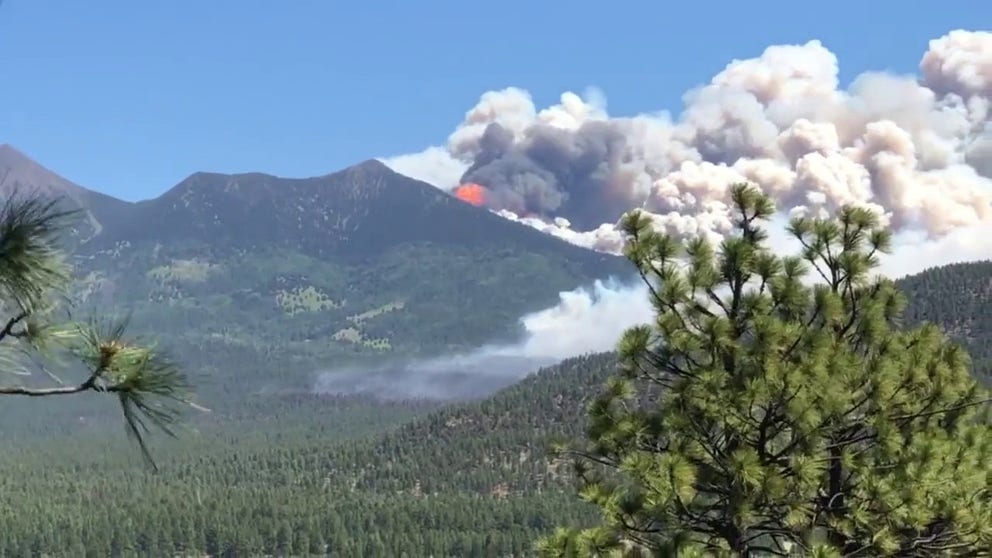 Massive clouds of smoke from the Pipeline Fire rise over Flagstaff, Arizona. (Video: Wendy Lamb / TMX)