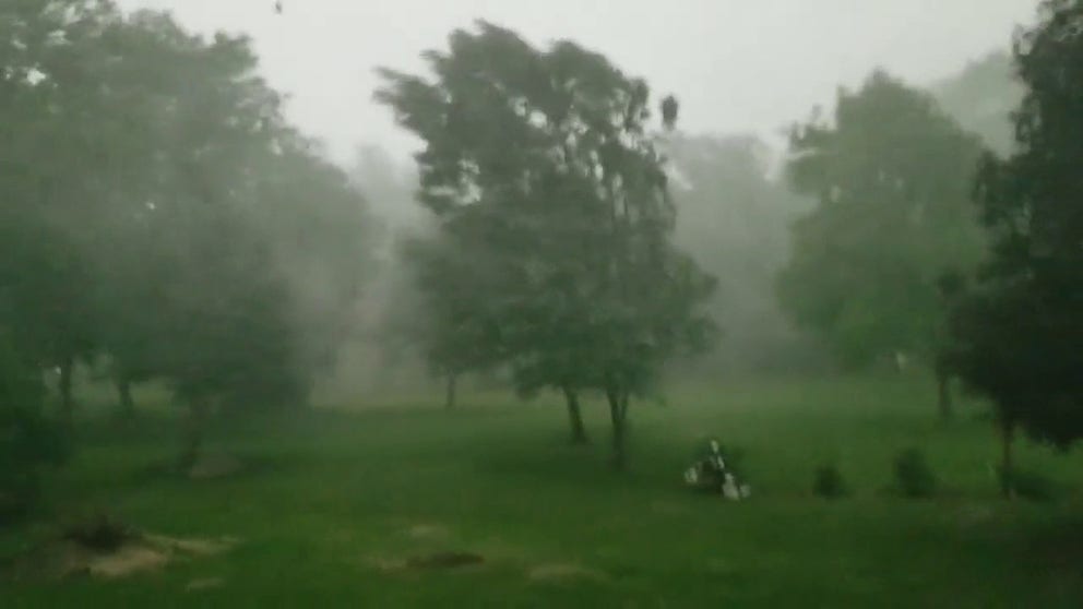 Strong winds from a tornado-warned storm whip rain and trees around in central Wisconsin on Wednesday. (Video: @DonE626/Twitter)