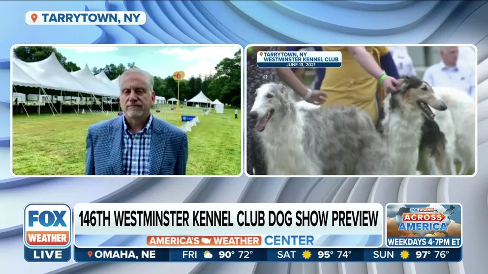 Executive Director at Lyndhurst Howard Zar previews the 146th Westminster Kennel Club from Tarrytown, New York. 
