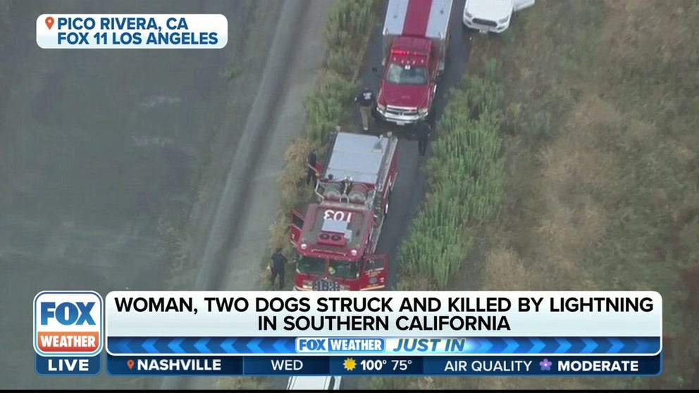 A woman and her two dogs were killed Wednesday by an apparent lightning strike in Southern California.