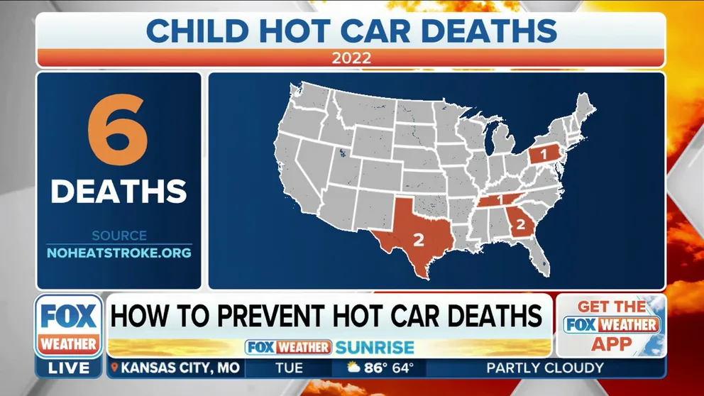 Harris County, Texas Sheriff Ed Gonzalez talks about ways hot car deaths can be prevented. 