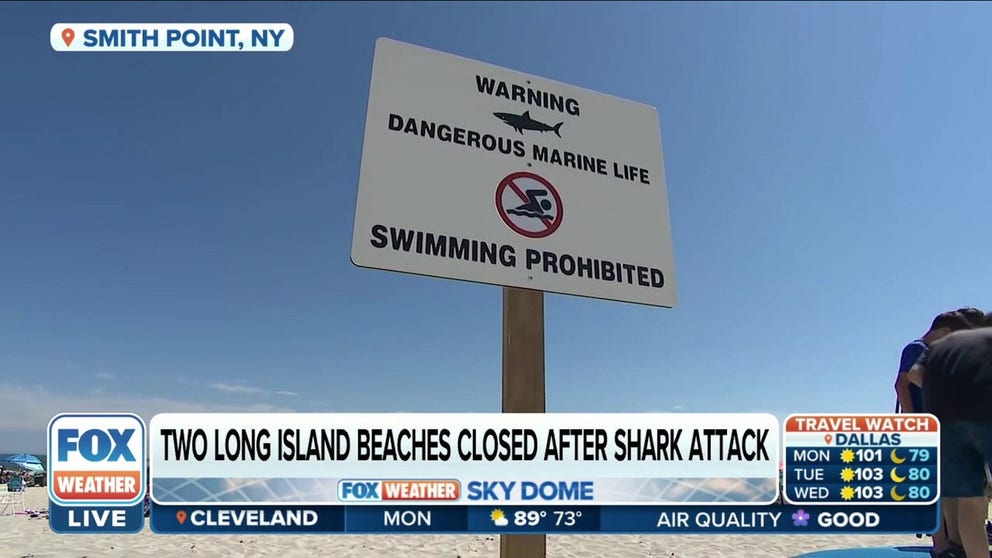 A 4-to-5-foot shark bit a lifeguard during a training exercise at Smith Point beach on Sunday. 