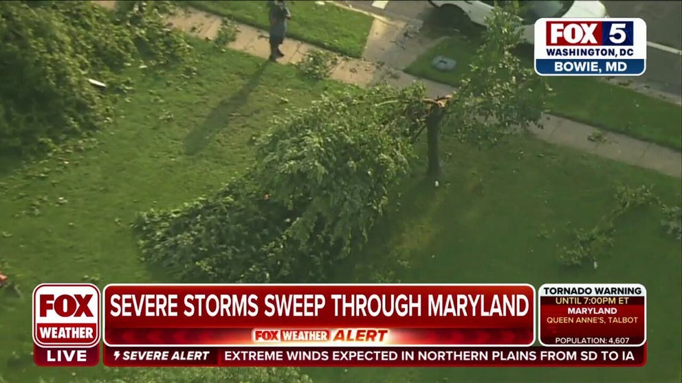 Trees down after a tornado moves through Bowie, Maryland. 